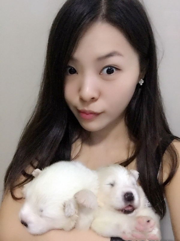 如果可以的第三张照片--成都相亲服务中心