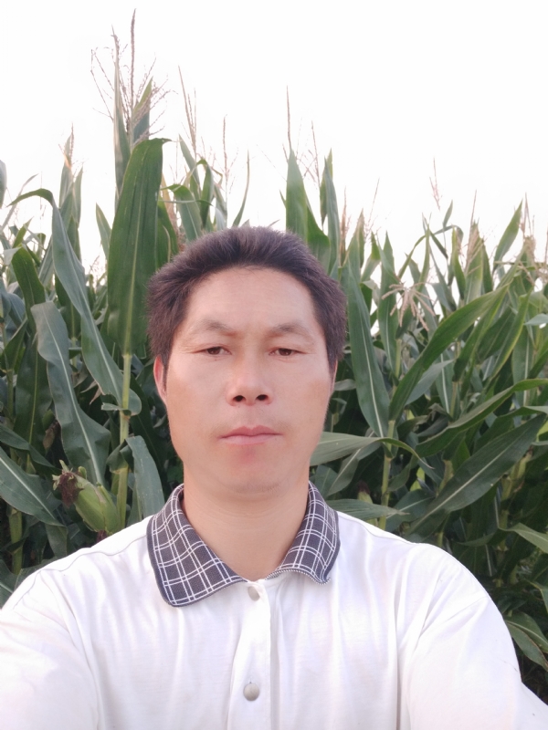 四海游龙的第二张照片--成都相亲服务中心