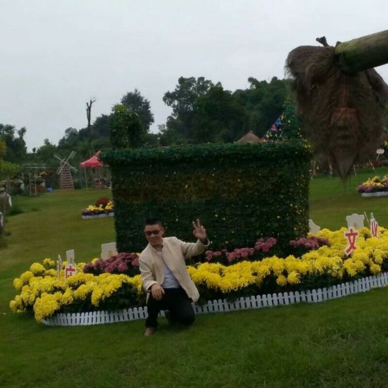春风里^O^任徜徉的第一张照片--成都相亲服务中心