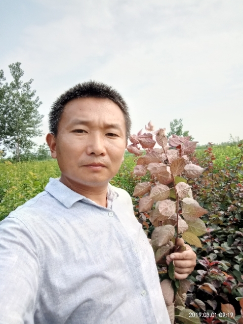 孩子爸的第二张照片--成都相亲服务中心