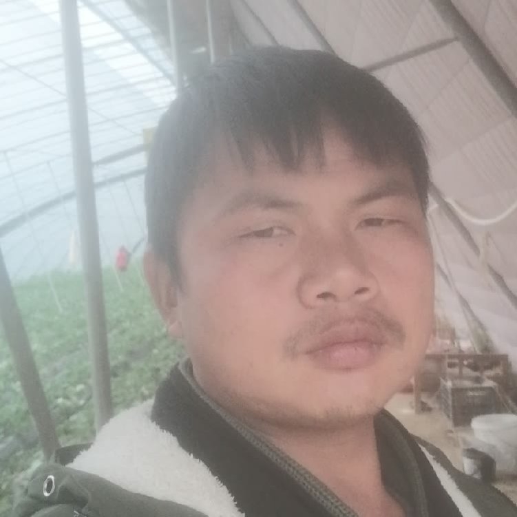 孤狼‘的第一张照片--成都相亲服务中心