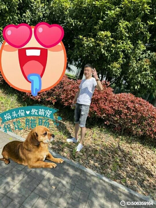 我若不坚强谁替我勇敢的第一张照片--成都相亲服务中心