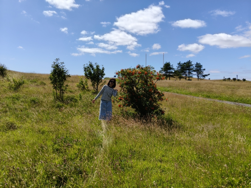 秋蝉的第一张照片--成都相亲服务中心