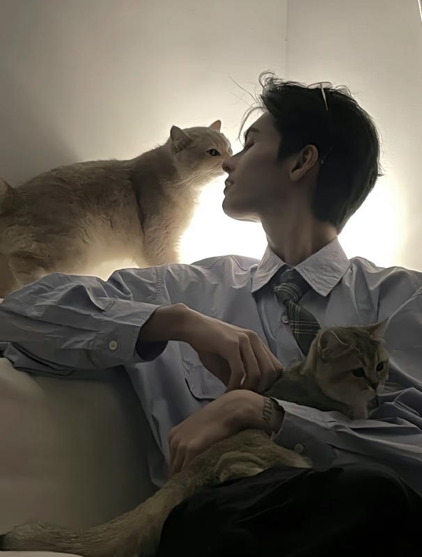 怪猫的第一张照片--成都相亲服务中心