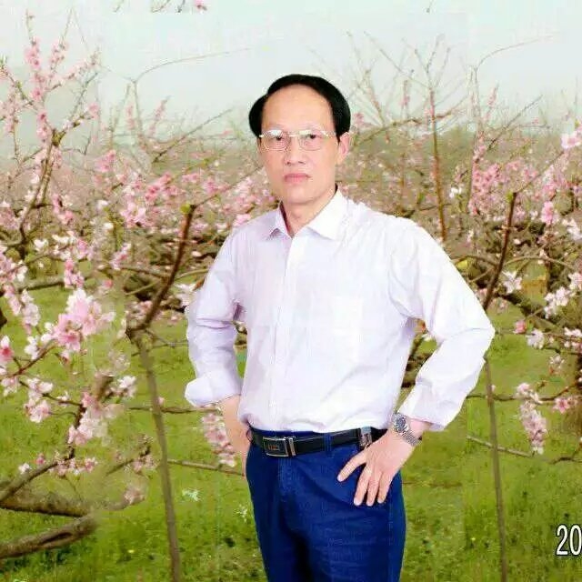枫叶的第一张照片--成都相亲服务中心